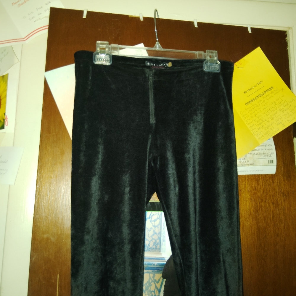 ALICE + OLIVIA Velvet Front Zip Leggings - Picture 6 of 9